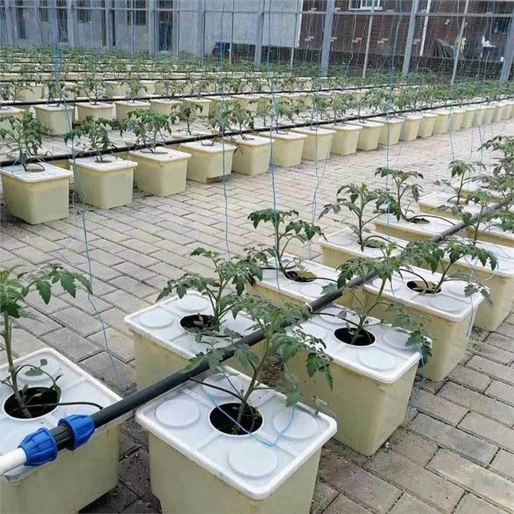 Bato Dutch Bucket For Greenhouse Substrate