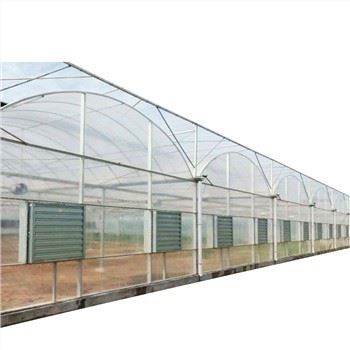 „Hot Sale Multi Span Film“ šiltnamis pomidorų auginimo sistemai