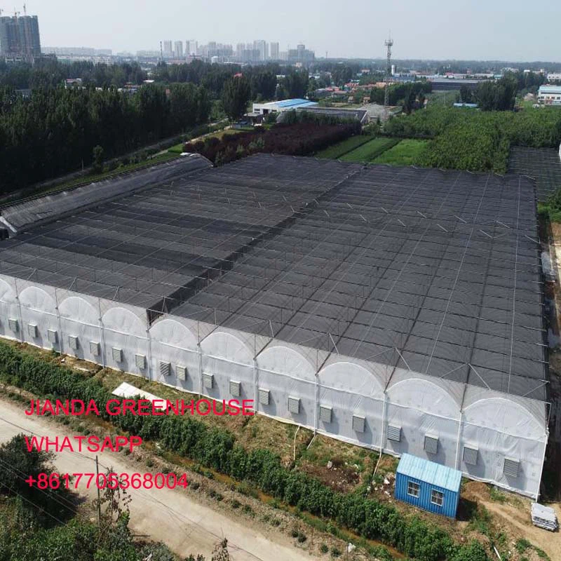 agricultural greenhouse agricultural greenhouse